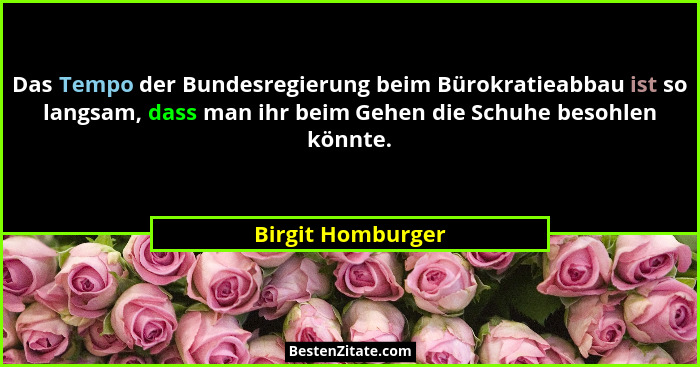 Das Tempo der Bundesregierung beim Bürokratieabbau ist so langsam, dass man ihr beim Gehen die Schuhe besohlen könnte.... - Birgit Homburger