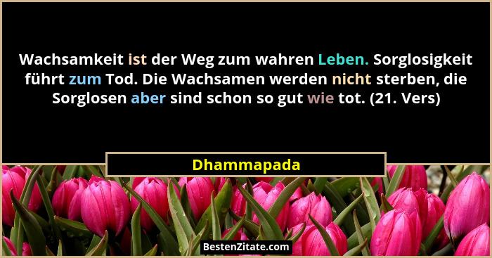 Wachsamkeit ist der Weg zum wahren Leben. Sorglosigkeit führt zum Tod. Die Wachsamen werden nicht sterben, die Sorglosen aber sind schon... - Dhammapada