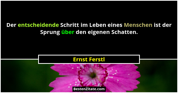 Der entscheidende Schritt im Leben eines Menschen ist der Sprung über den eigenen Schatten.... - Ernst Ferstl