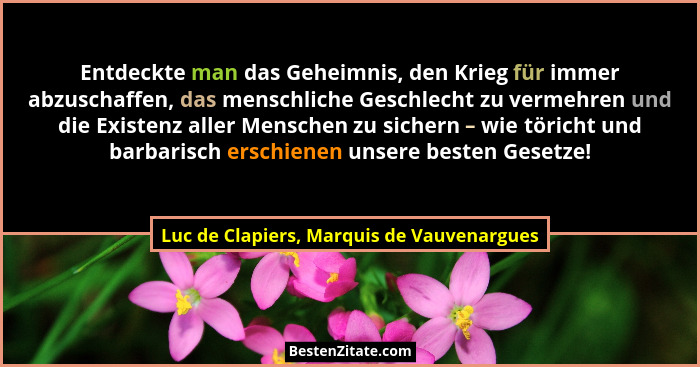 Entdeckte man das Geheimnis, den Krieg für immer abzuschaffen, das menschliche Geschlecht zu vermehren und... - Luc de Clapiers, Marquis de Vauvenargues