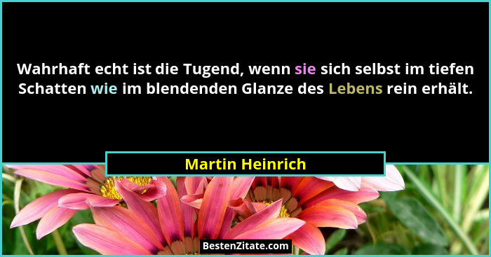 Wahrhaft echt ist die Tugend, wenn sie sich selbst im tiefen Schatten wie im blendenden Glanze des Lebens rein erhält.... - Martin Heinrich