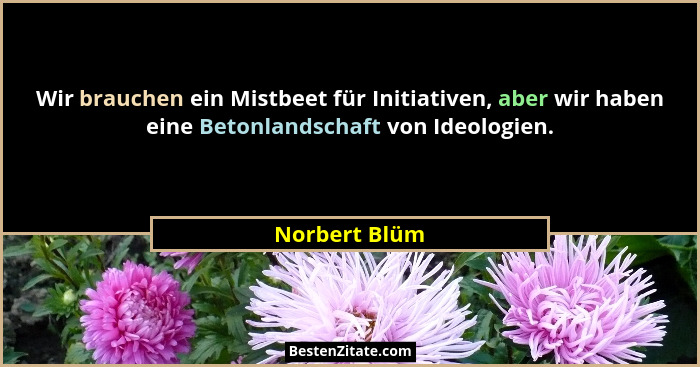 Wir brauchen ein Mistbeet für Initiativen, aber wir haben eine Betonlandschaft von Ideologien.... - Norbert Blüm