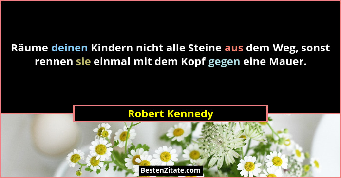 Räume deinen Kindern nicht alle Steine aus dem Weg, sonst rennen sie einmal mit dem Kopf gegen eine Mauer.... - Robert Kennedy