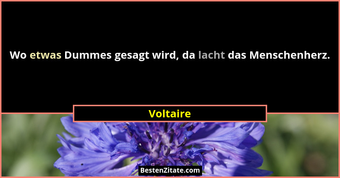 Wo etwas Dummes gesagt wird, da lacht das Menschenherz.... - Voltaire