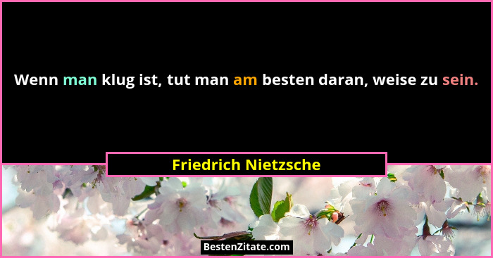 Wenn man klug ist, tut man am besten daran, weise zu sein.... - Friedrich Nietzsche