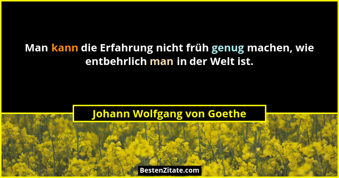 Man kann die Erfahrung nicht früh genug machen, wie entbehrlich man in der Welt ist.... - Johann Wolfgang von Goethe
