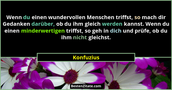 Wenn du einen wundervollen Menschen triffst, so mach dir Gedanken darüber, ob du ihm gleich werden kannst. Wenn du einen minderwertigen tr... - Konfuzius