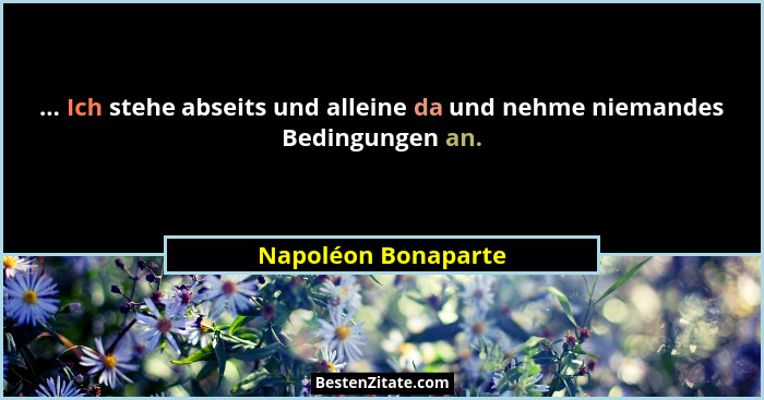 ... Ich stehe abseits und alleine da und nehme niemandes Bedingungen an.... - Napoléon Bonaparte