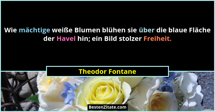 Wie mächtige weiße Blumen blühen sie über die blaue Fläche der Havel hin; ein Bild stolzer Freiheit.... - Theodor Fontane