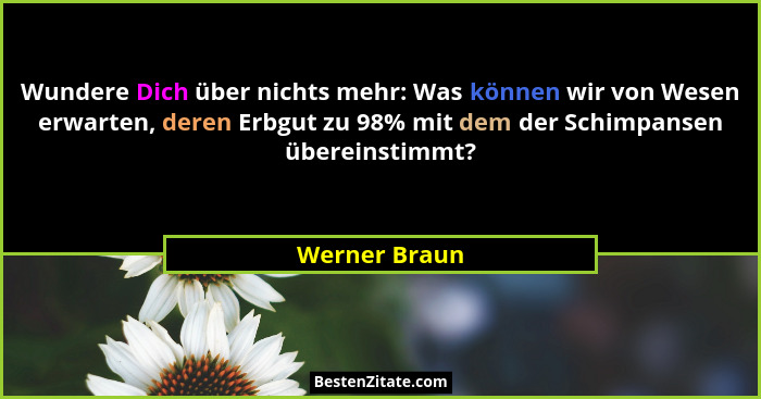 Wundere Dich über nichts mehr: Was können wir von Wesen erwarten, deren Erbgut zu 98% mit dem der Schimpansen übereinstimmt?... - Werner Braun