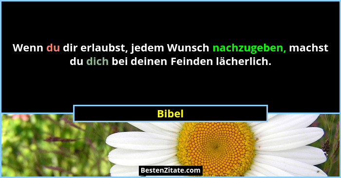 Wenn du dir erlaubst, jedem Wunsch nachzugeben, machst du dich bei deinen Feinden lächerlich.... - Bibel