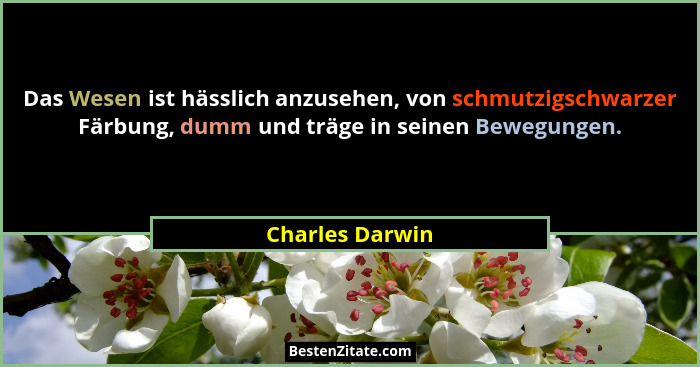 Das Wesen ist hässlich anzusehen, von schmutzigschwarzer Färbung, dumm und träge in seinen Bewegungen.... - Charles Darwin