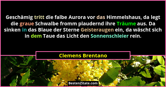 Geschämig tritt die falbe Aurora vor das Himmelshaus, da legt die graue Schwalbe fromm plaudernd ihre Träume aus. Da sinken in das... - Clemens Brentano