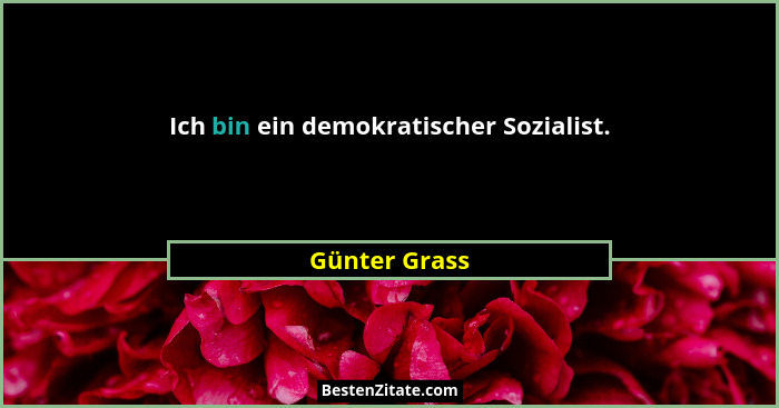 Ich bin ein demokratischer Sozialist.... - Günter Grass