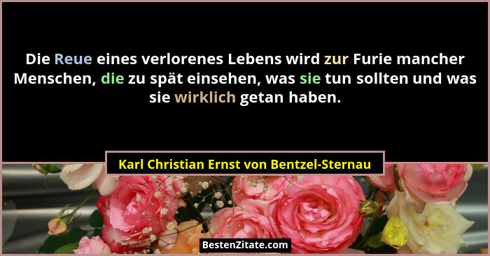 Die Reue eines verlorenes Lebens wird zur Furie mancher Menschen, die zu spät einsehen, was sie tun sollten... - Karl Christian Ernst von Bentzel-Sternau