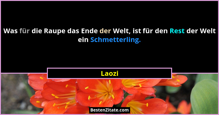 Was für die Raupe das Ende der Welt, ist für den Rest der Welt ein Schmetterling.... - Laozi