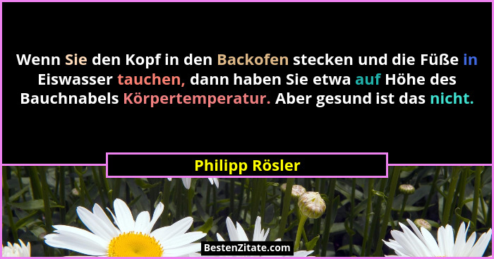 Wenn Sie den Kopf in den Backofen stecken und die Füße in Eiswasser tauchen, dann haben Sie etwa auf Höhe des Bauchnabels Körpertempe... - Philipp Rösler