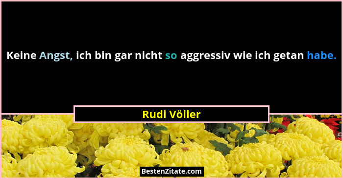Keine Angst, ich bin gar nicht so aggressiv wie ich getan habe.... - Rudi Völler