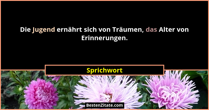 Die Jugend ernährt sich von Träumen, das Alter von Erinnerungen.... - Sprichwort