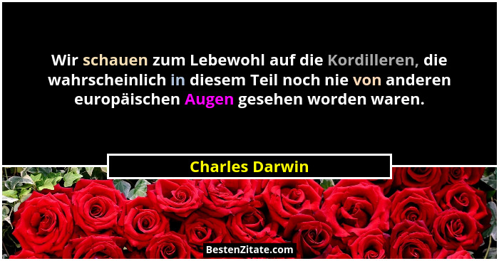 Wir schauen zum Lebewohl auf die Kordilleren, die wahrscheinlich in diesem Teil noch nie von anderen europäischen Augen gesehen worde... - Charles Darwin