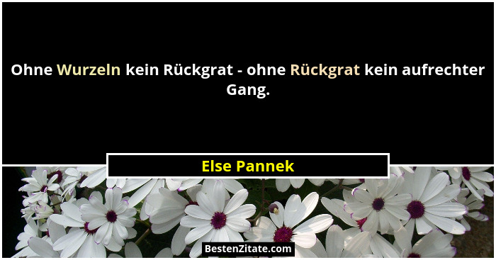 Ohne Wurzeln kein Rückgrat - ohne Rückgrat kein aufrechter Gang.... - Else Pannek