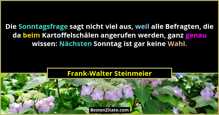 Die Sonntagsfrage sagt nicht viel aus, weil alle Befragten, die da beim Kartoffelschälen angerufen werden, ganz genau wissen... - Frank-Walter Steinmeier