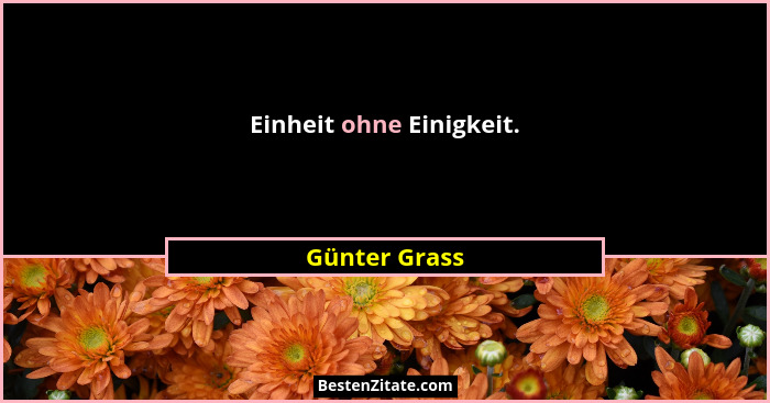 Einheit ohne Einigkeit.... - Günter Grass