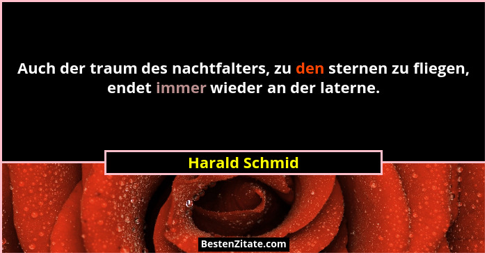 Auch der traum des nachtfalters, zu den sternen zu fliegen, endet immer wieder an der laterne.... - Harald Schmid