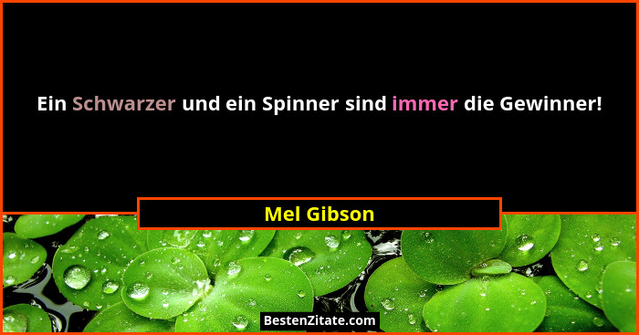 Ein Schwarzer und ein Spinner sind immer die Gewinner!... - Mel Gibson