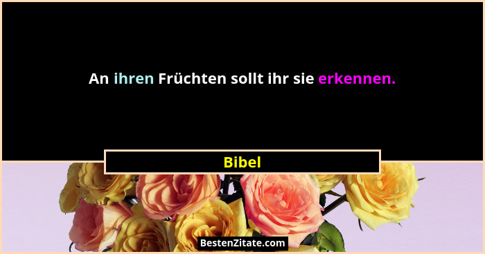 An ihren Früchten sollt ihr sie erkennen.... - Bibel