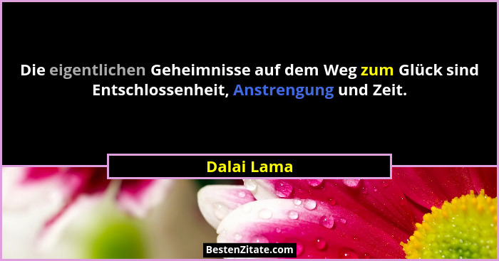 Die eigentlichen Geheimnisse auf dem Weg zum Glück sind Entschlossenheit, Anstrengung und Zeit.... - Dalai Lama