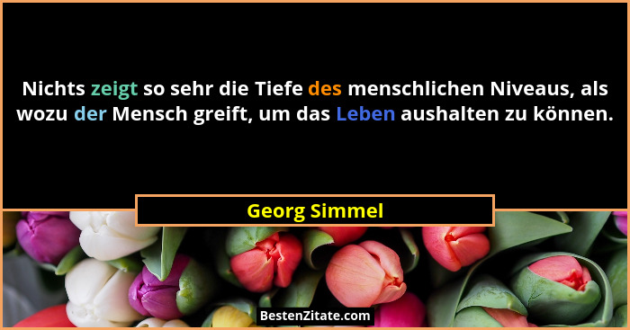 Nichts zeigt so sehr die Tiefe des menschlichen Niveaus, als wozu der Mensch greift, um das Leben aushalten zu können.... - Georg Simmel