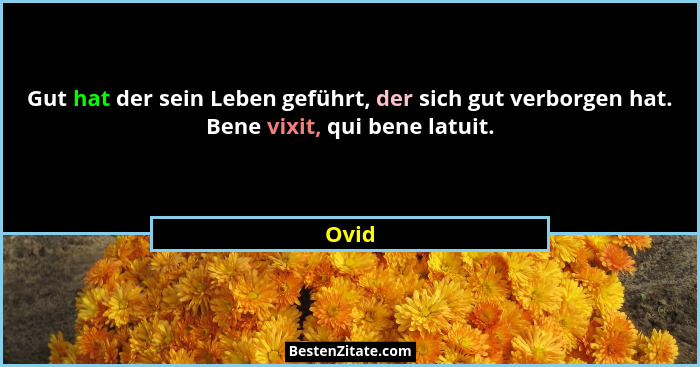 Gut hat der sein Leben geführt, der sich gut verborgen hat. Bene vixit, qui bene latuit.... - Ovid
