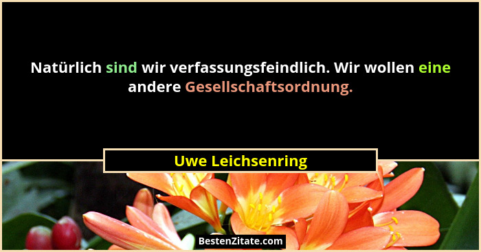Natürlich sind wir verfassungsfeindlich. Wir wollen eine andere Gesellschaftsordnung.... - Uwe Leichsenring