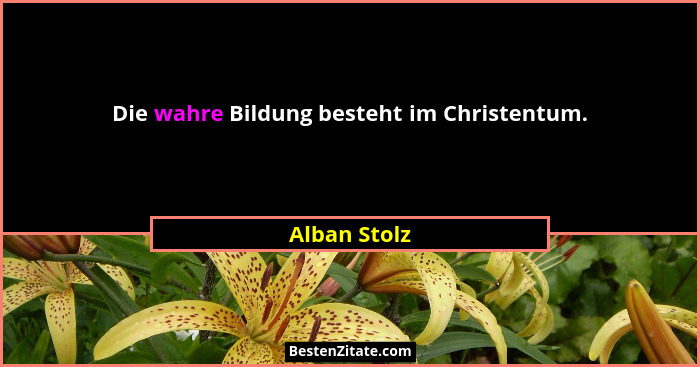 Die wahre Bildung besteht im Christentum.... - Alban Stolz