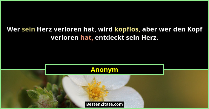 Wer sein Herz verloren hat, wird kopflos, aber wer den Kopf verloren hat, entdeckt sein Herz.... - Anonym