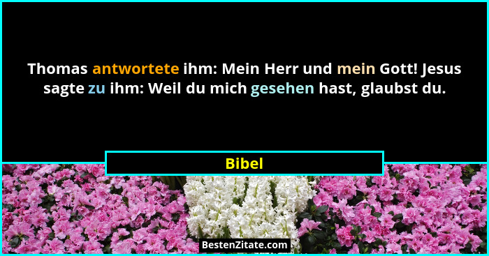 Thomas antwortete ihm: Mein Herr und mein Gott! Jesus sagte zu ihm: Weil du mich gesehen hast, glaubst du.... - Bibel
