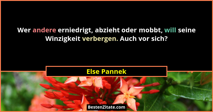 Wer andere erniedrigt, abzieht oder mobbt, will seine Winzigkeit verbergen. Auch vor sich?... - Else Pannek