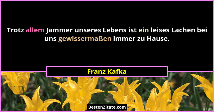 Trotz allem Jammer unseres Lebens ist ein leises Lachen bei uns gewissermaßen immer zu Hause.... - Franz Kafka