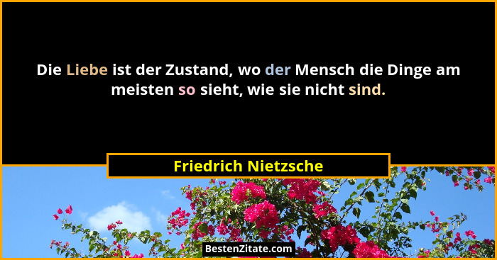 Die Liebe ist der Zustand, wo der Mensch die Dinge am meisten so sieht, wie sie nicht sind.... - Friedrich Nietzsche