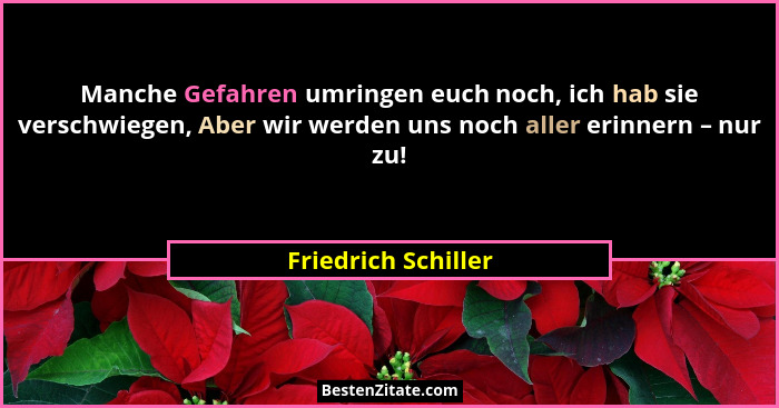 Manche Gefahren umringen euch noch, ich hab sie verschwiegen, Aber wir werden uns noch aller erinnern – nur zu!... - Friedrich Schiller