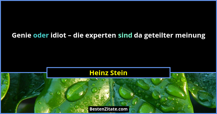Genie oder idiot – die experten sind da geteilter meinung... - Heinz Stein