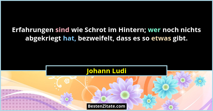Erfahrungen sind wie Schrot im Hintern; wer noch nichts abgekriegt hat, bezweifelt, dass es so etwas gibt.... - Johann Ludi