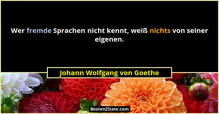 Wer fremde Sprachen nicht kennt, weiß nichts von seiner eigenen.... - Johann Wolfgang von Goethe