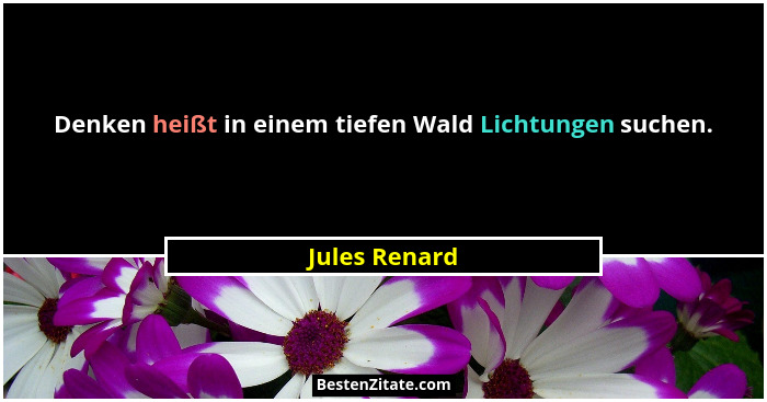 Denken heißt in einem tiefen Wald Lichtungen suchen.... - Jules Renard