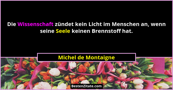 Die Wissenschaft zündet kein Licht im Menschen an, wenn seine Seele keinen Brennstoff hat.... - Michel de Montaigne