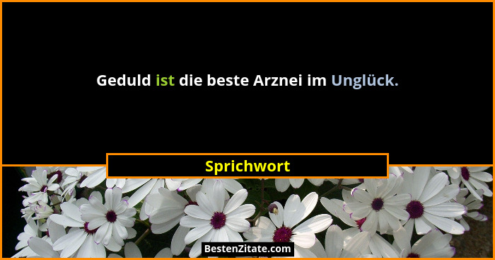 Geduld ist die beste Arznei im Unglück.... - Sprichwort