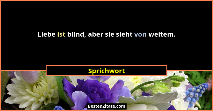 Liebe ist blind, aber sie sieht von weitem.... - Sprichwort