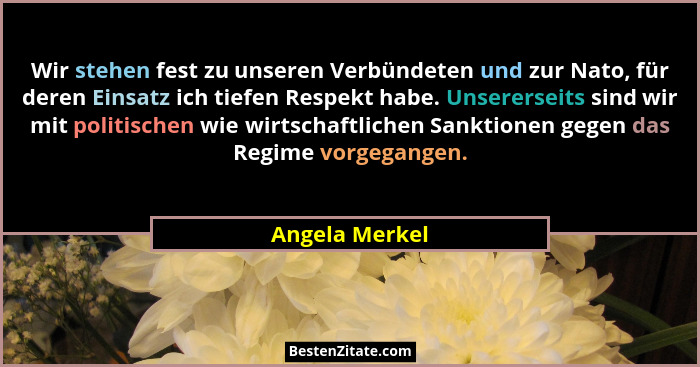 Wir stehen fest zu unseren Verbündeten und zur Nato, für deren Einsatz ich tiefen Respekt habe. Unsererseits sind wir mit politischen... - Angela Merkel