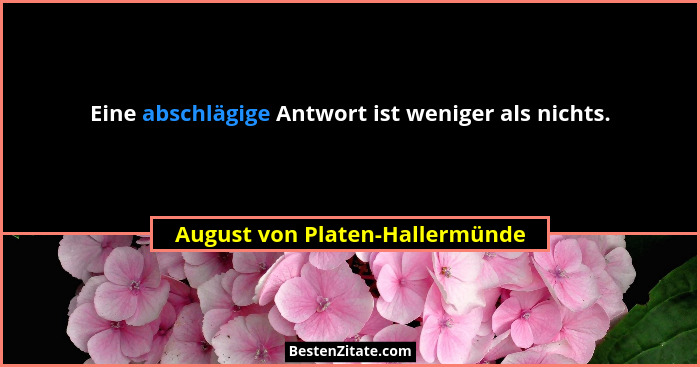Eine abschlägige Antwort ist weniger als nichts.... - August von Platen-Hallermünde